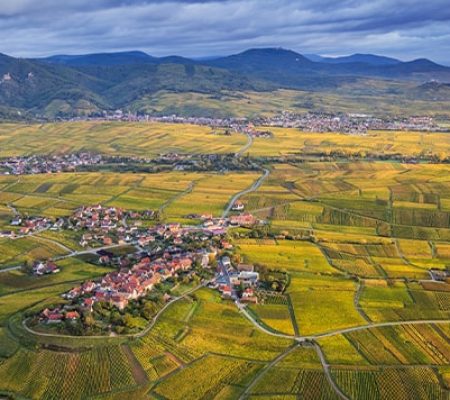 04_perleduvignoble__smaller-retina 04_perleduvignoble__smaller-retina