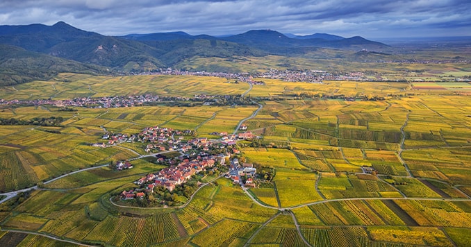 04_perleduvignoble__smaller-retina