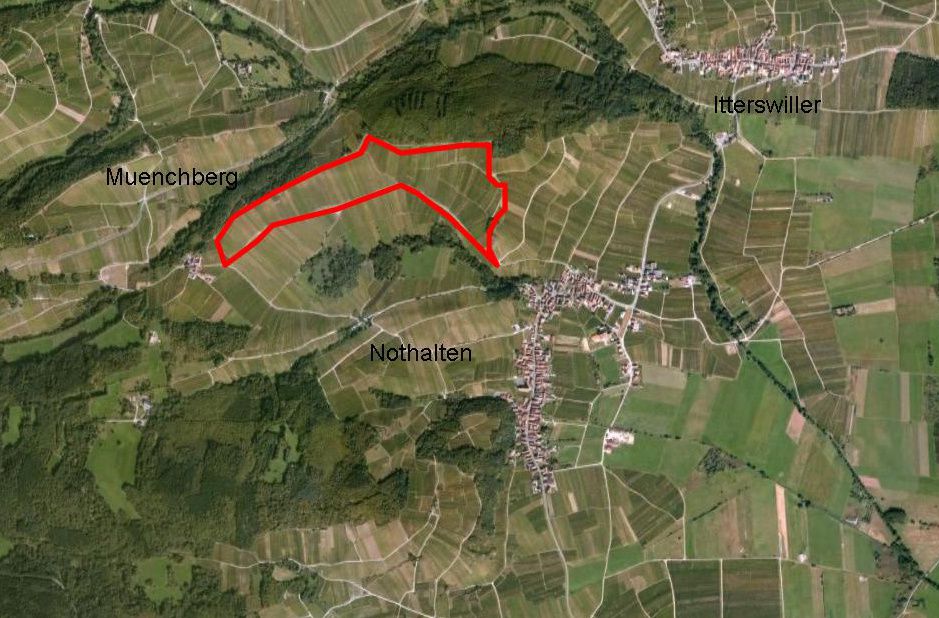 grand-cru-muenchberg